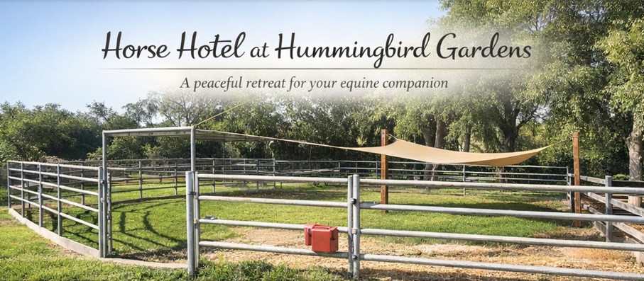 Horse pasture at Hummingbird Gardens Horse Hotel