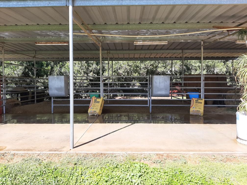 Covered stall and wash rack area